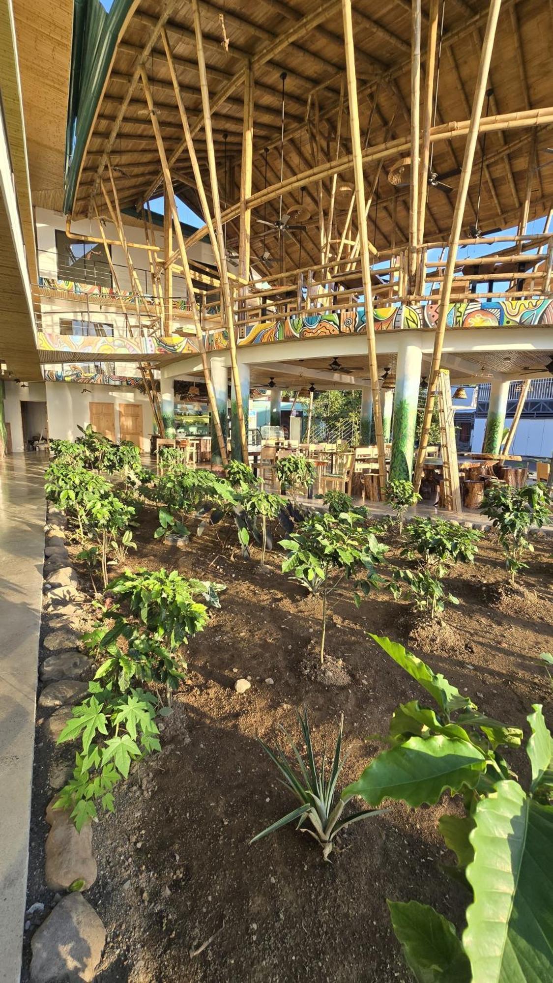 Bonding Coffee Roaster Cafe & Hotel 奎波斯城 外观 照片