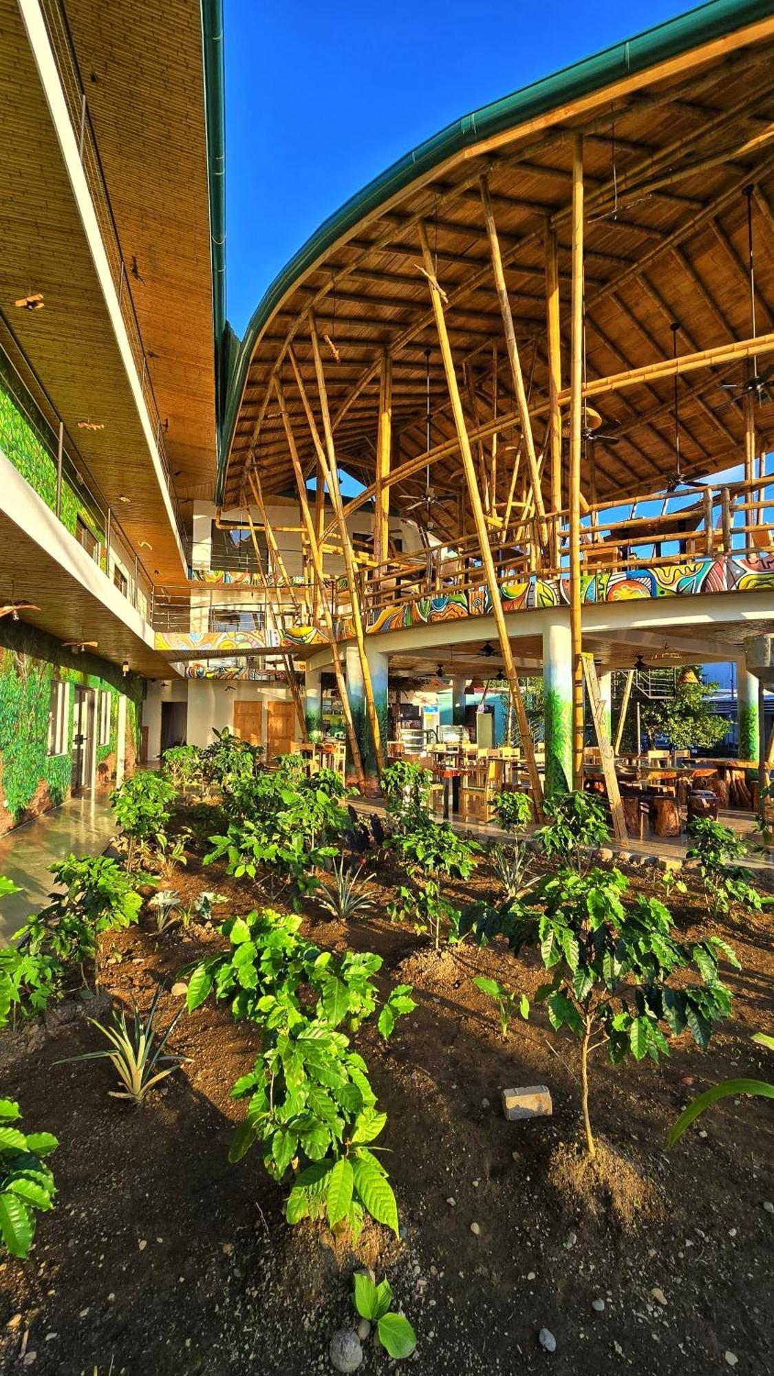 Bonding Coffee Roaster Cafe & Hotel 奎波斯城 外观 照片