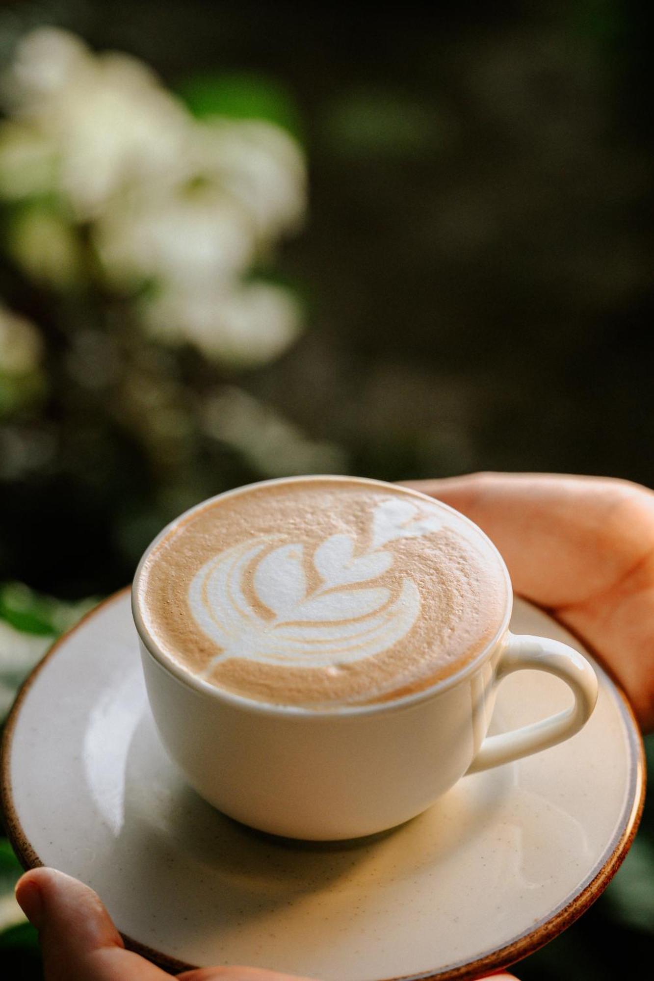 Bonding Coffee Roaster Cafe & Hotel 奎波斯城 外观 照片